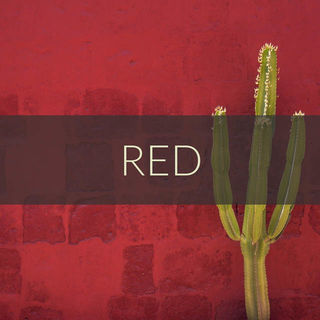 Radiant Reds