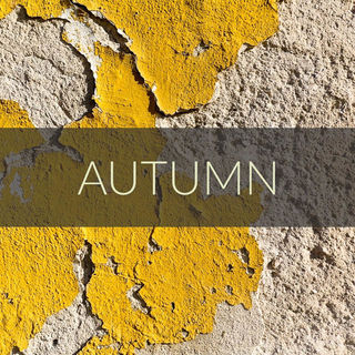 Autumn Leaves