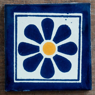 Daysi May Blue Tile