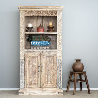 Pushkar Bookshelf