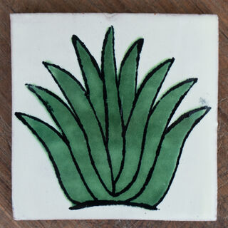 Agave Tile