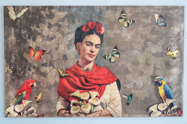 Frida Canvas 7