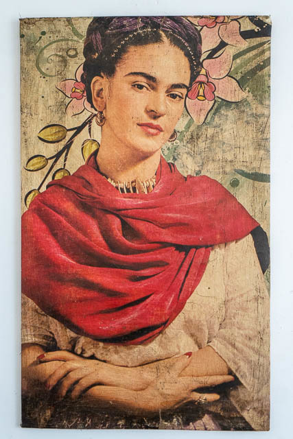 Frida Canvas 15