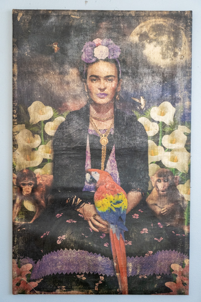Frida Canvas 12