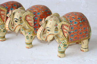 Indian Elephant